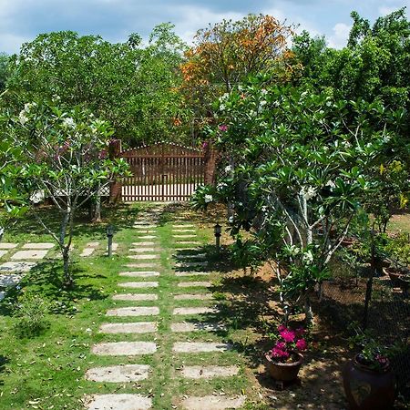 Spring Garden Homestay دونغ دونغ المظهر الخارجي الصورة