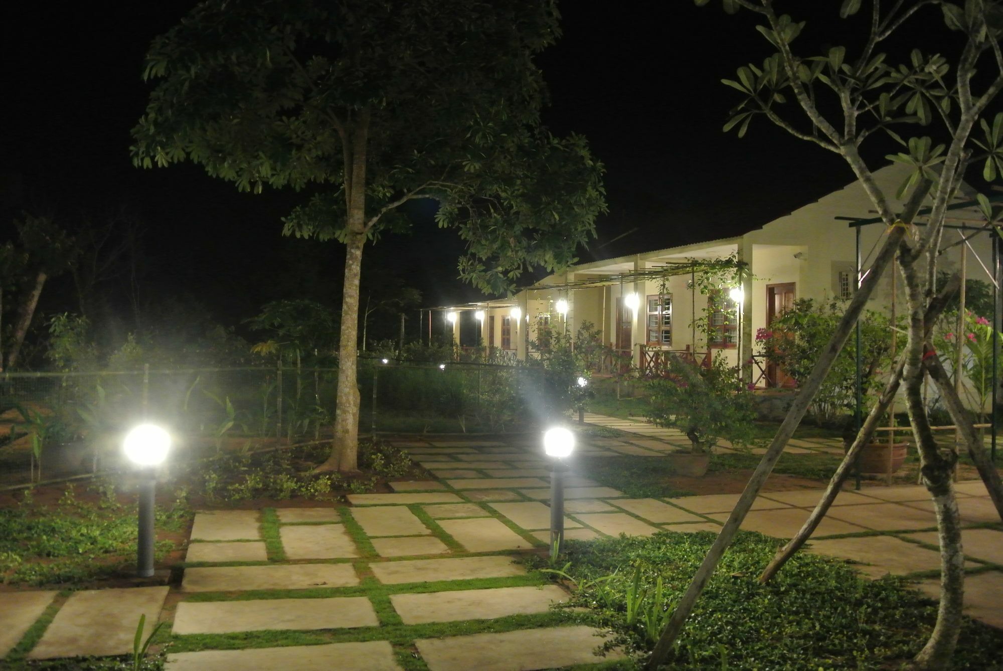 Spring Garden Homestay دونغ دونغ المظهر الخارجي الصورة