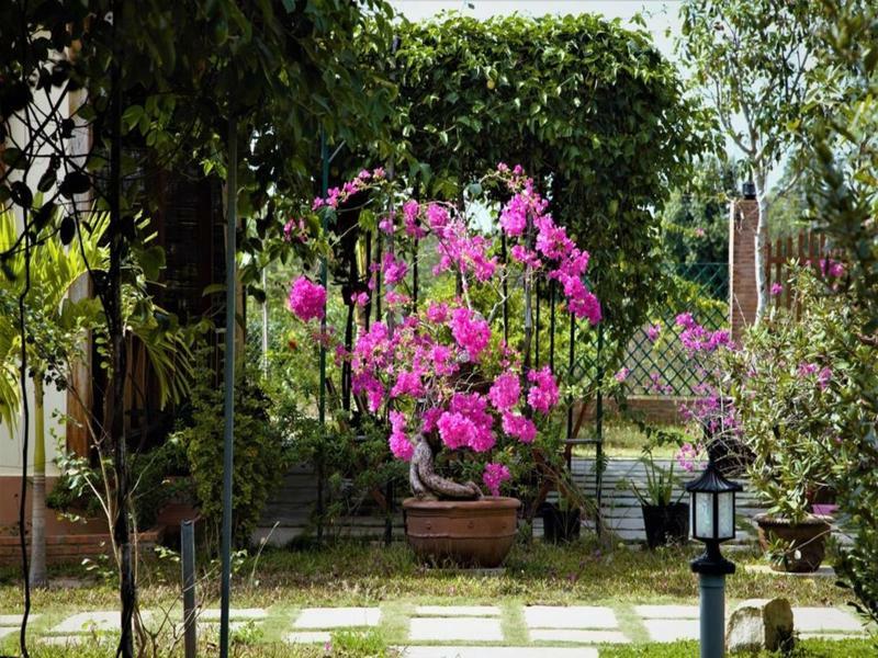 Spring Garden Homestay دونغ دونغ المظهر الخارجي الصورة