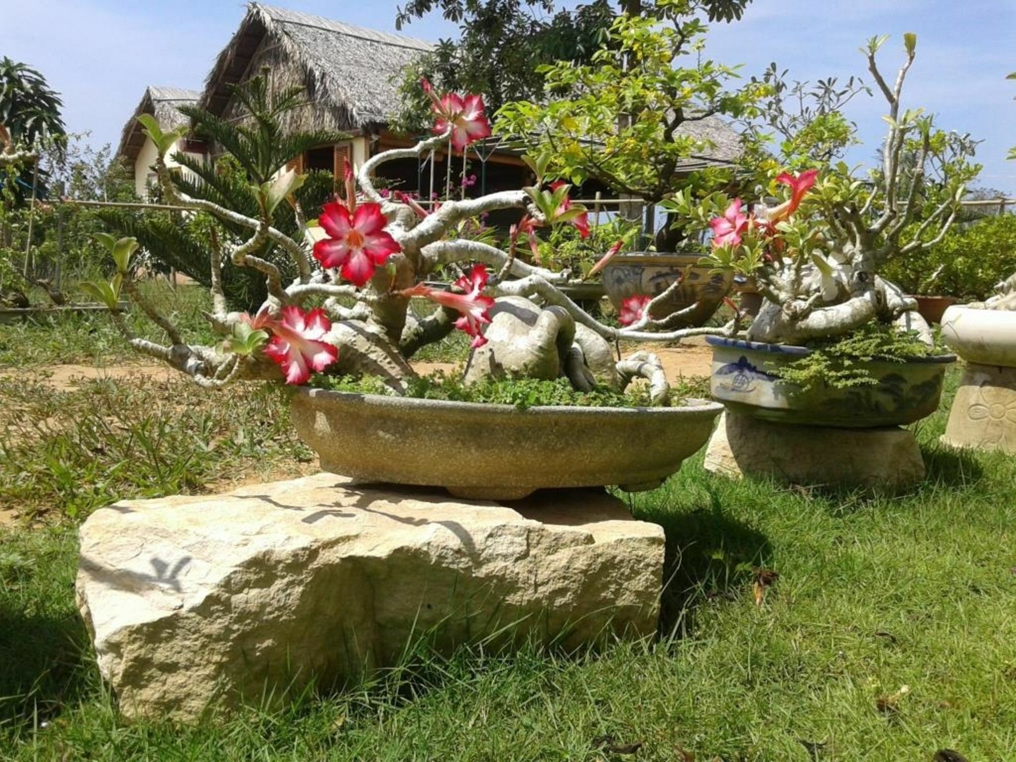 Spring Garden Homestay دونغ دونغ المظهر الخارجي الصورة