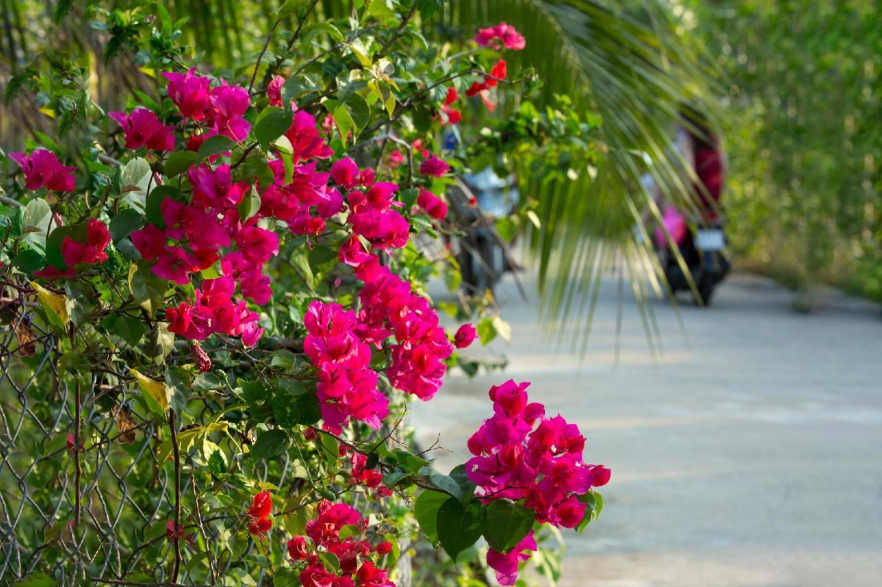 Spring Garden Homestay دونغ دونغ المظهر الخارجي الصورة
