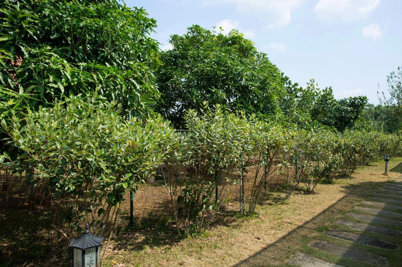 Spring Garden Homestay دونغ دونغ المظهر الخارجي الصورة